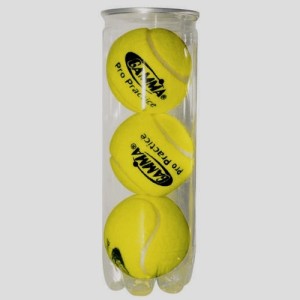 Gamma PRO PRACTICE Tennis Ball -   Size: 5