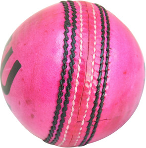 THREE WICKETS PANTHER Cricket Ball - Size: Full