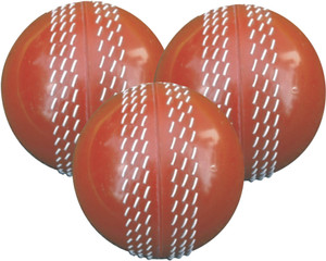 Ceela Sports Swing Training Cricket Ball - Size: Standard