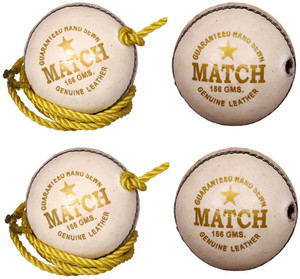 Priya Sports Practice White Cricket Ball - Size: 5