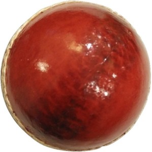 Whimsical Sports 4 Panel Cricket Ball -   Size: 5