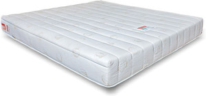 Coirfit Biolife Visco 10 inch Single Memory Foam Mattress