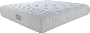 Springfit CCGRANDE 8 inch Single Pocket Spring Mattress
