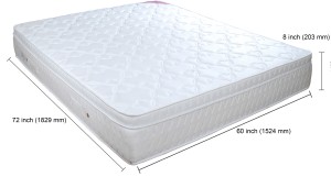 Springwel Divinity Collection 8 inch Queen Pocket Spring Mattress