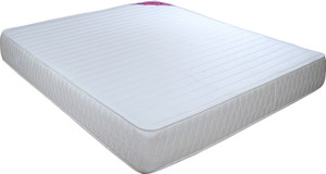 Springwel Infinity 8 inch Queen High Resilience (HR) Foam Mattress