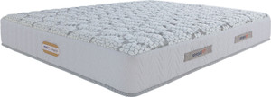 Springfit IMAXLATEX 6 inch Queen High Resilience (HR) Foam Mattress