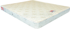 Coirfit Health ++ Active Orthopaedic 5 inch Single Coir Mattress