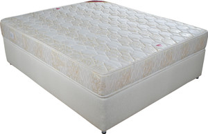 Springwel Comfort Collection 5 inch Queen Bonnell Spring Mattress