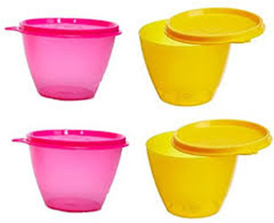 Tupperware Plastic Disposable Bowl Set