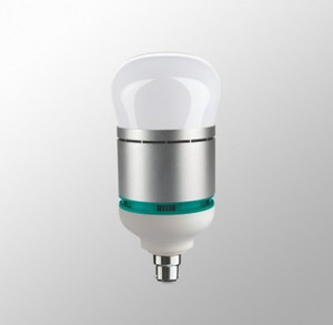 Syska 25 W B22 LED Bulb