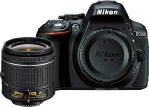 Nikon D5300 DSLR Camera (Body with AF-P DX NIKKOR 18-55 mm f/3.5-5.6G VR Kit)