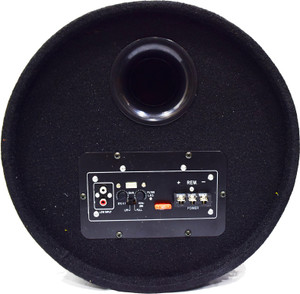 inbuilt amplifier woofer