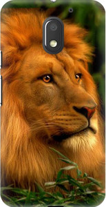 Amez Back Cover for Motorola Moto E3 Power