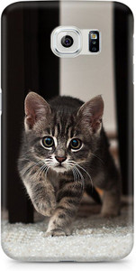 AMEZ Back Cover for SAMSUNG Galaxy S6
