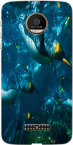 ColourCraft Back Cover for Motorola Moto Z Play