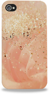 StyBuzz Back Cover for Apple iPhone 5S
