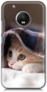 SWAGMYCASE Back Cover for Motorola Moto G5 Plus