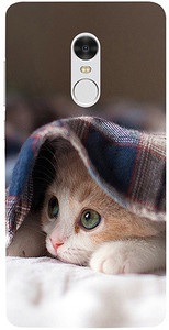 Casotec Back Cover for Mi Redmi Note 4