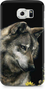 AMEZ Back Cover for SAMSUNG Galaxy S6
