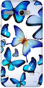 Fasheen Back Cover for Micromax Bolt Q346