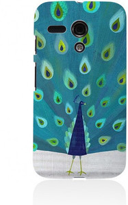 StyBuzz Back Cover for Motorola Moto G (1st Generation)