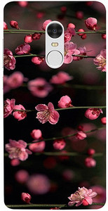 Casotec Back Cover for Mi Redmi Note 4