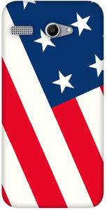 Fasheen Back Cover for Micromax Bolt Q346