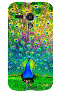 Omkar Enterprises Back Cover for Motorola Moto G (1st Gen)