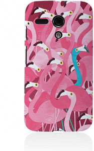 StyBuzz Back Cover for Motorola Moto G (1st Generation)
