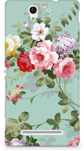 Amez Back Cover for Sony Xperia C3 (D2502)