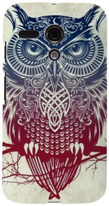 StyBuzz Back Cover for Motorola Moto G (1st Gen)