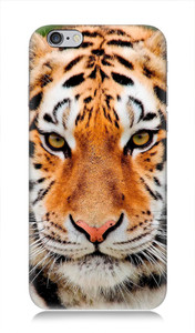 7C Back Cover for Apple Iphone 6S