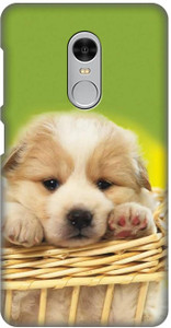 Zapcase Back Cover for Mi Redmi Note 4