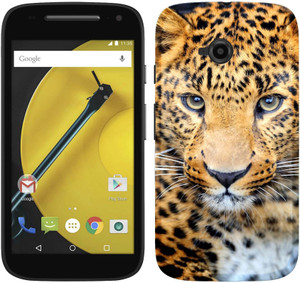 Wow Back Cover for Motorola Moto E (2nd Gen) 4G