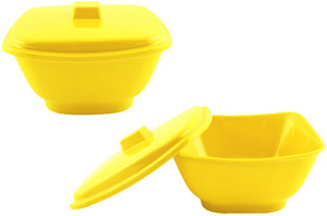 White Gold Yl Pack of 2 Casserole Set