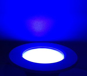 Bene 3w Round Ceiling Light Color Of Led Blue Pack Of 12 Pcs