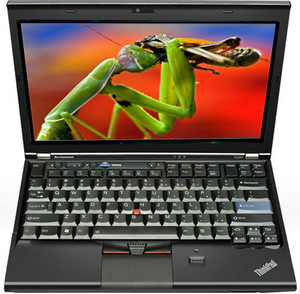 Lenovo ThinkPad X220 (4291-H70) Laptop (2nd Gen Ci5/ 4GB/ 500GB 