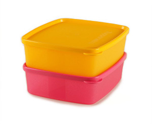Tupperware - 250 ml Plastic Multi-purpose Storage Container