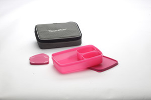 signoraware compact lunch box with bag