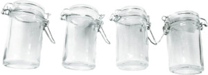 Circleware - 60 ml Glass Spice Container