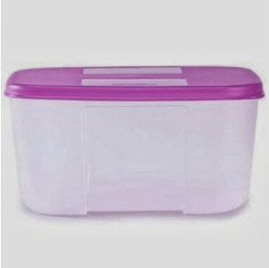 Tupperware FreezerMate - 700 ml Plastic Food Storage