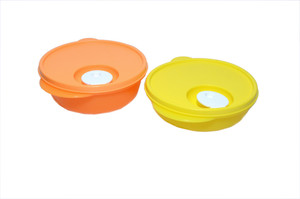 Tupperware - 600 ml, 400 ml Plastic Multi-purpose Storage Container