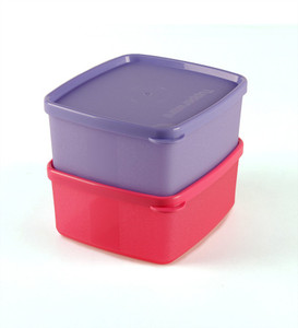 Tupperware - 500 ml Plastic Food Storage