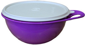 Tupperware - 1.4 L Plastic Multi-purpose Storage Container