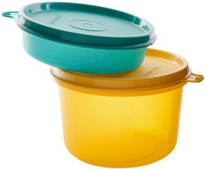 Tupperware Executive Lunch Bowls - 450 ml, 150 ml Plastic Food Storage