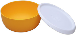 Tupperware - 1.3 L Plastic Multi-purpose Storage Container