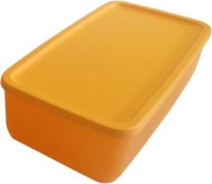 Tupperware Fresh n Cool - 1.4 ml Polypropylene Multi-purpose Storage Container