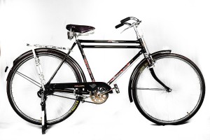 neelam cycle price 24 inch