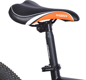 phoenix cycle echo 6