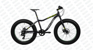 Raleigh big sam best sale 21 speed price